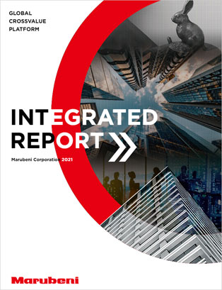 Integrated Report 2021