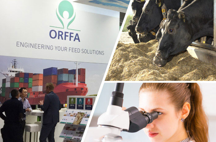 Orffa International Holding BV (Netherlands)
