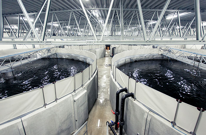 Closed-cycle land-based aquaculture equipment