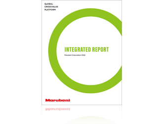 Integrated Report/Annual Report